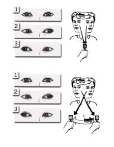 A woman first tracks a fixed point while turning her head side to side, and then tracks a moving target while turning her head side to side.