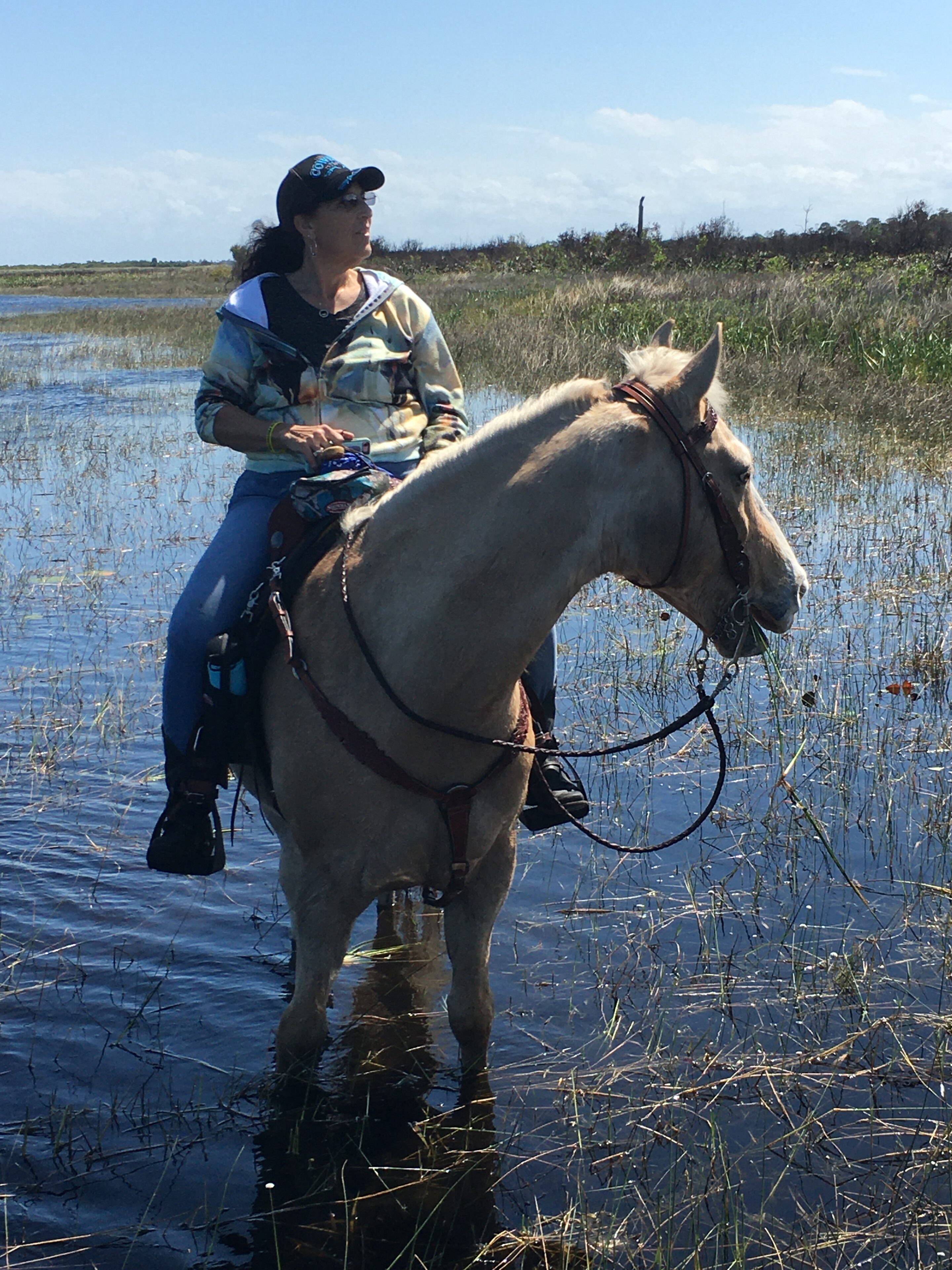 My service dog, Bear Vestibular Disorders Association