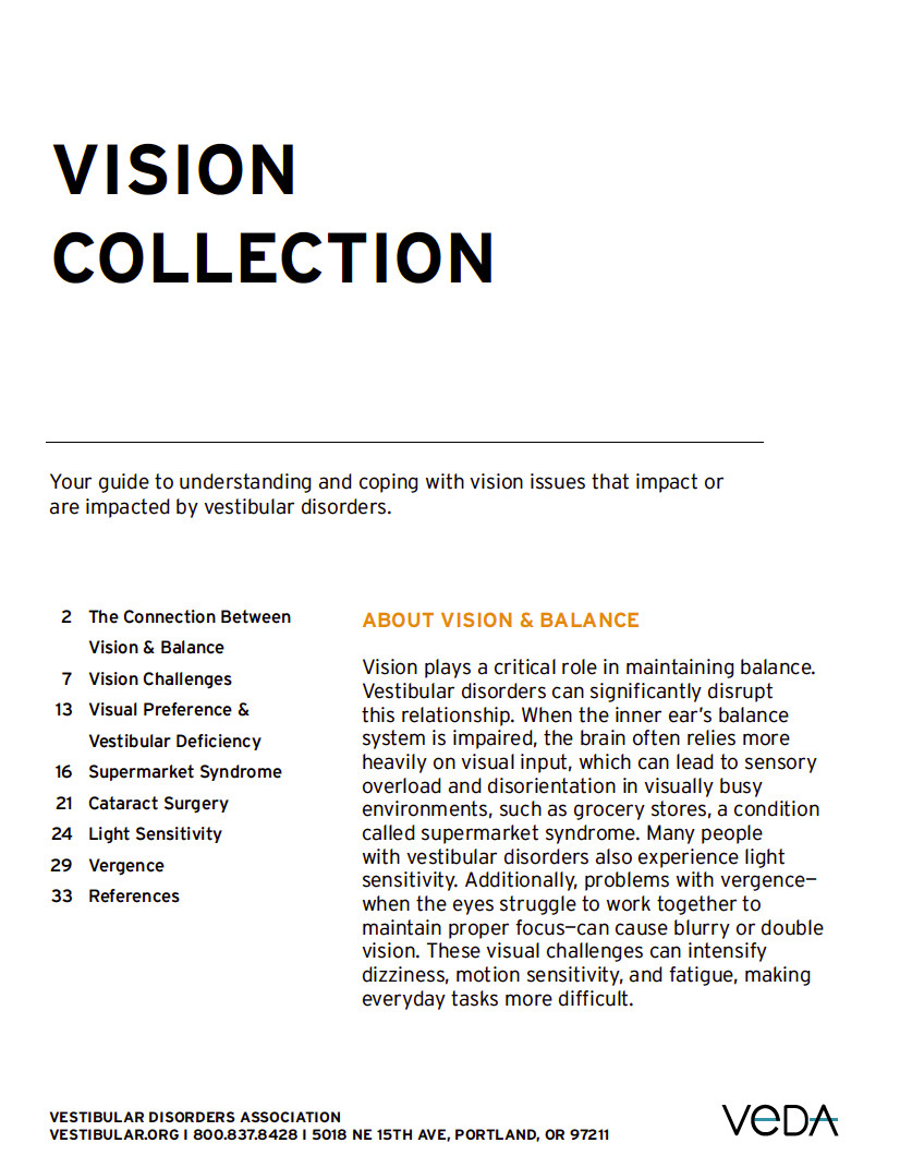 Vision article collection title page