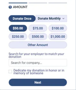 Screenshot of donate page with options for amounts to donate.