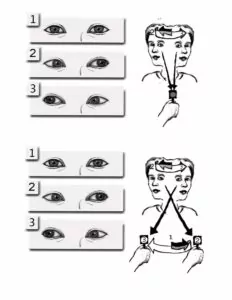 A woman first tracks a fixed point while turning her head side to side, and then tracks a moving target while turning her head side to side.