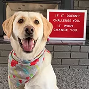 Tilly, Heather's service dog 