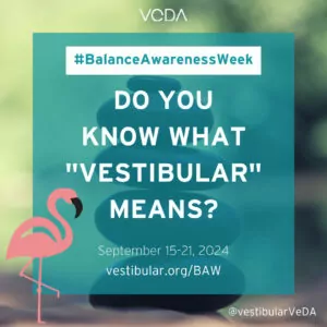  do you know what "vestibular" means?