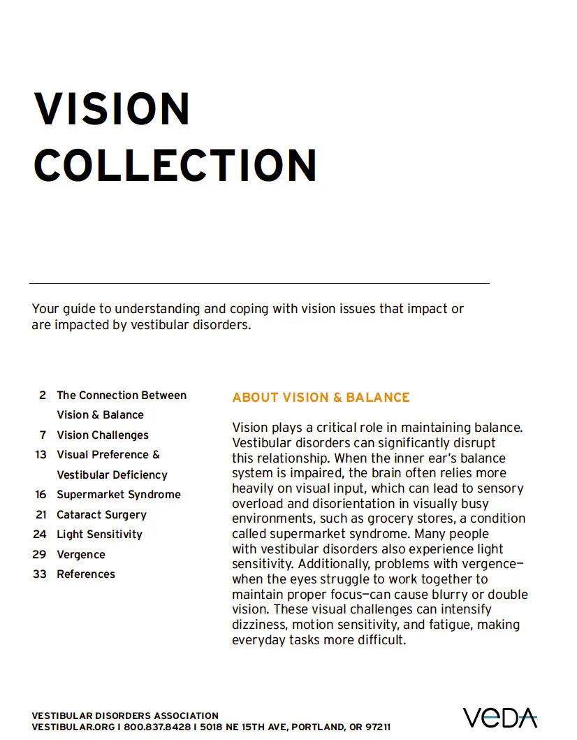 Vision article collection title page